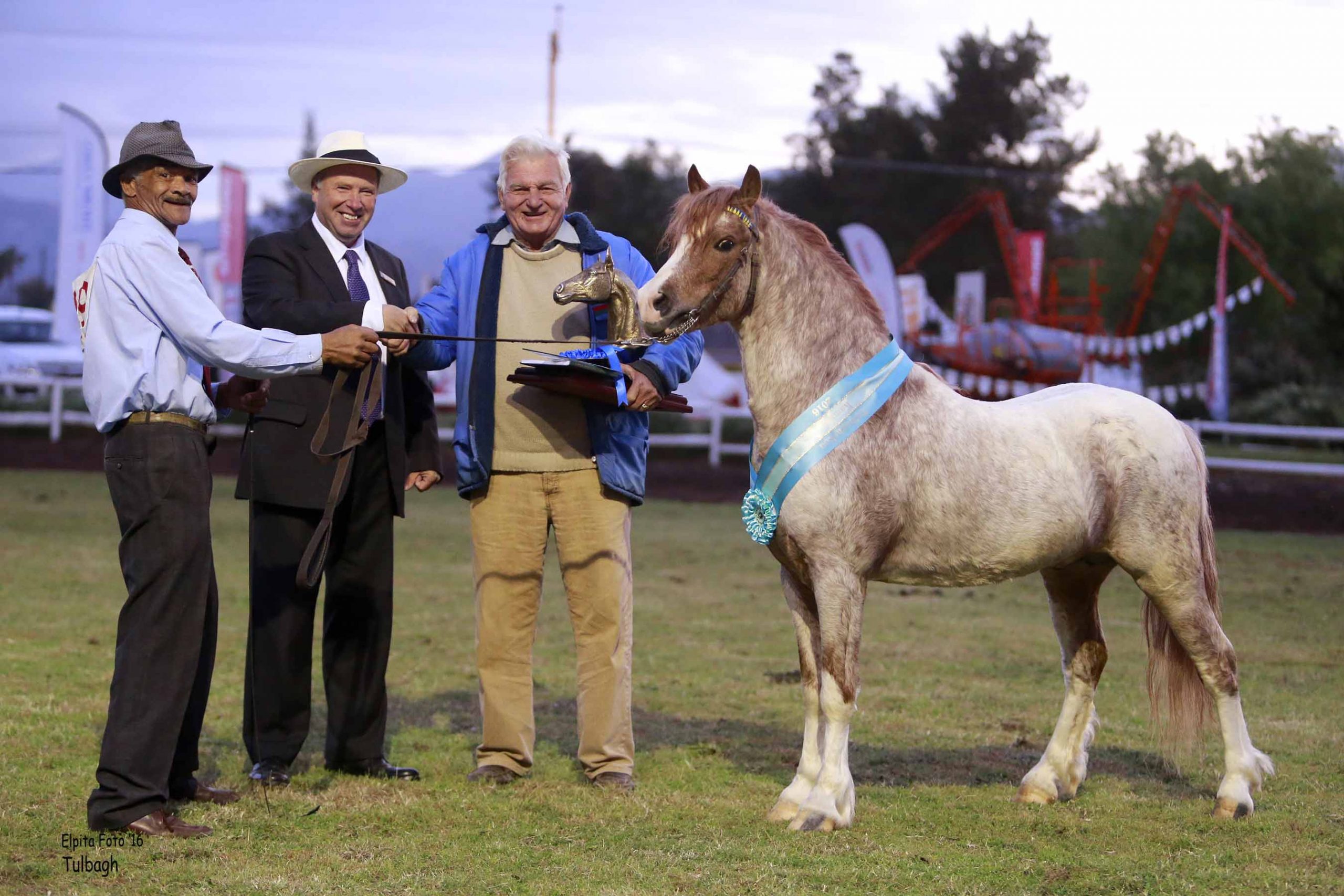 Wessel Swart – In Memory – Welsh Pony and Cob Society, Africa